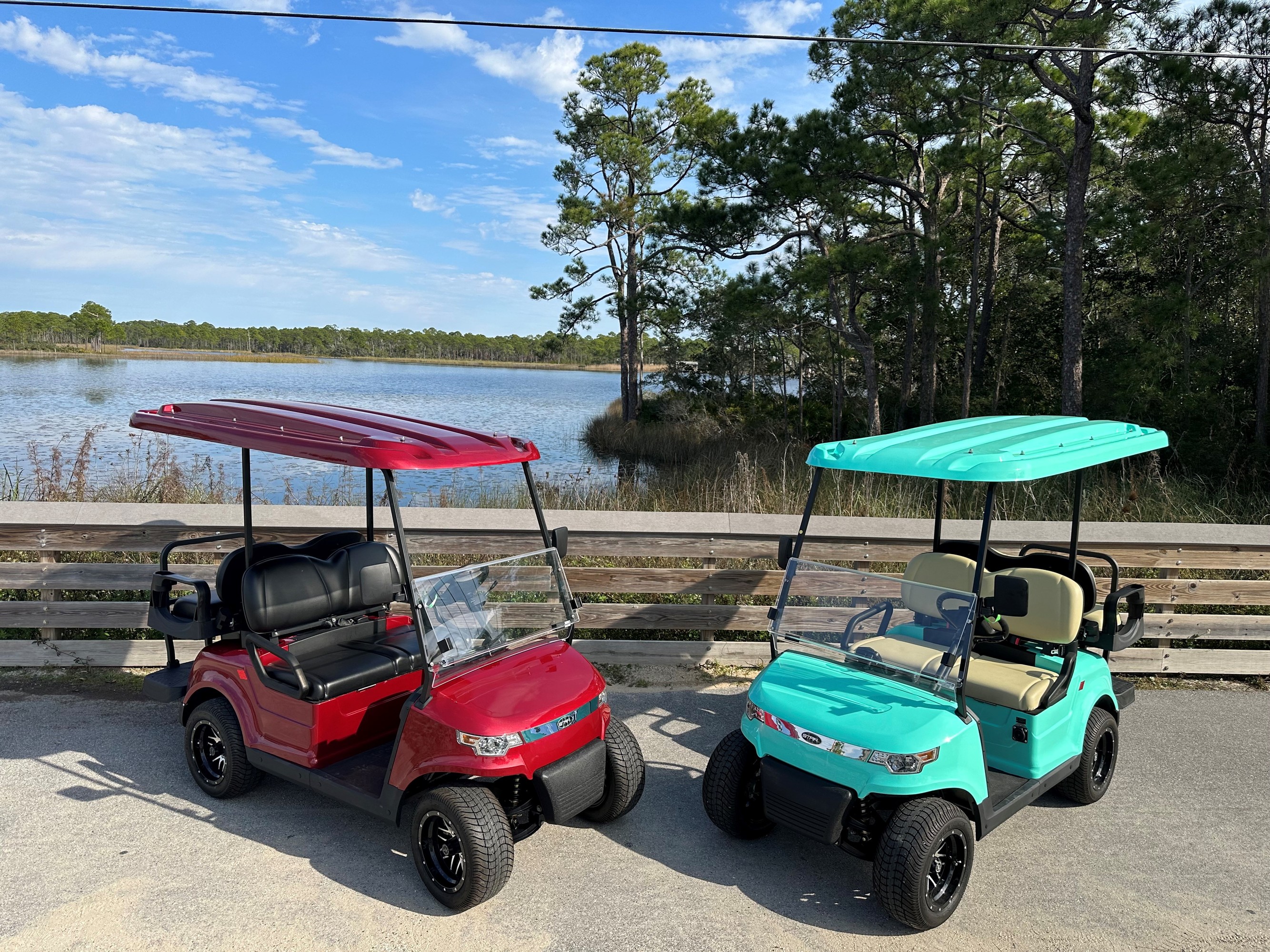 Beach Fleet Electric Cart Company SANTA ROSA BEACH Florida